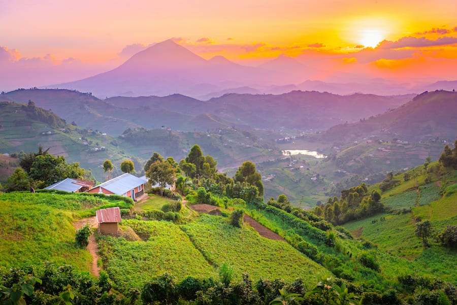 Uganda - sunset over terraced green hills