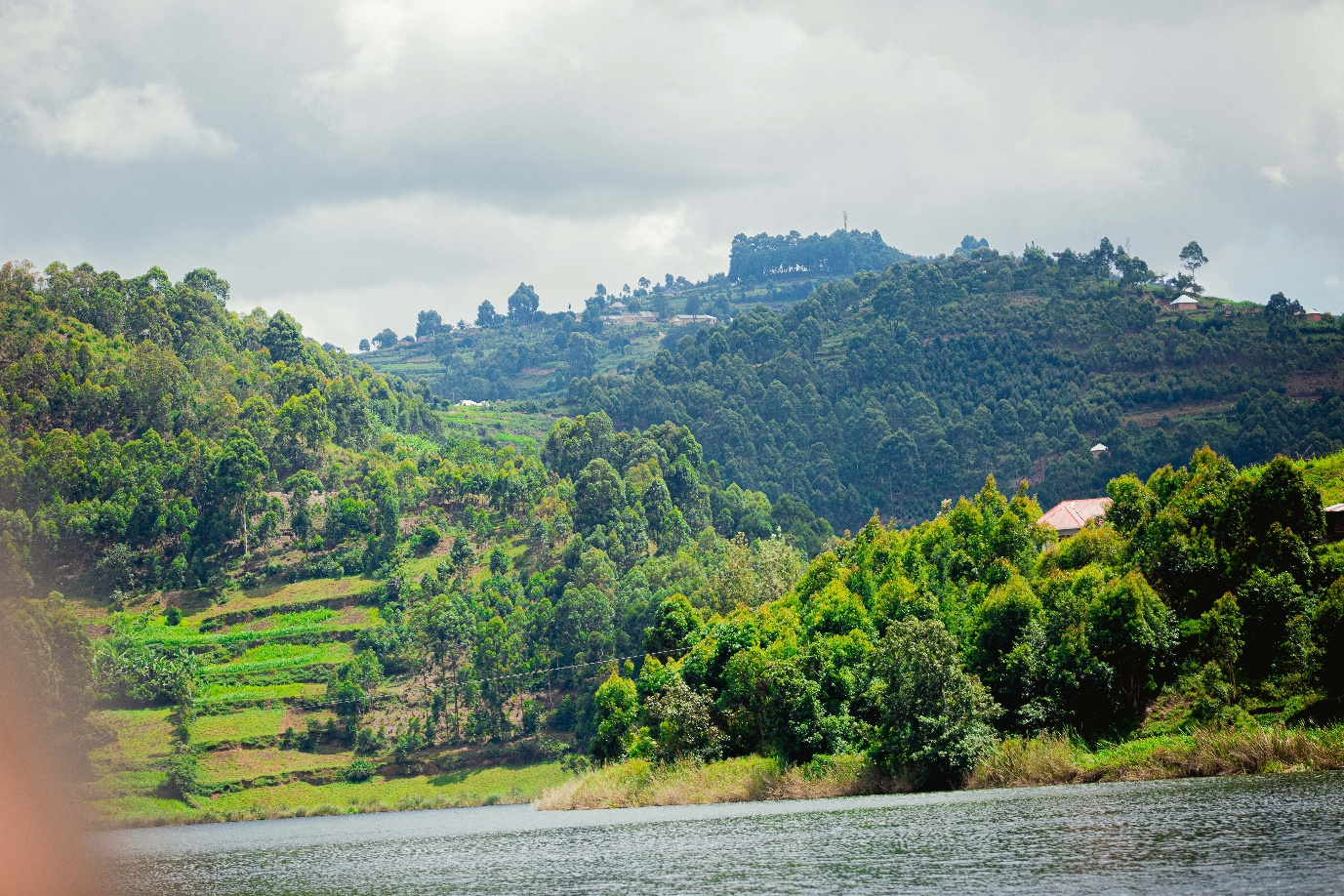 Green terraced hills by a Uganda lake